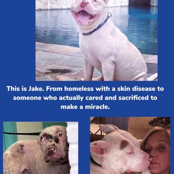 Sterling plated 18” chain with a St. Saint Francis medal and crucifix - Charity. - Picture 11 of 11